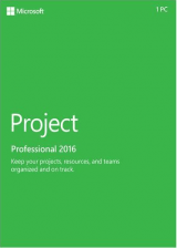 Project Professional 2016 Key Global
