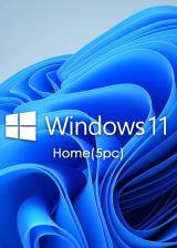 MS Win 11 Home OEM KEY GLOBAL(5PC)