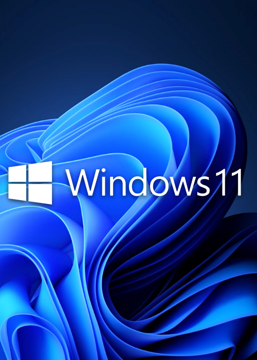 MS Win 11 Pro OEM KEY GLOBAL(Sale)